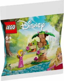 LEGO Disney 30671