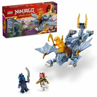 LEGO Ninjago 71810 Young Dragon Riyu