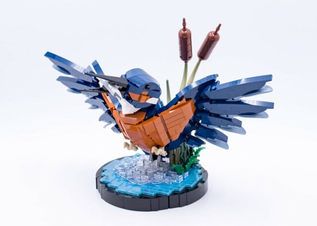 Review LEGO Icons 10331 Kingfisher Bird