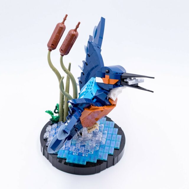 Review LEGO Icons 10331 Kingfisher Bird