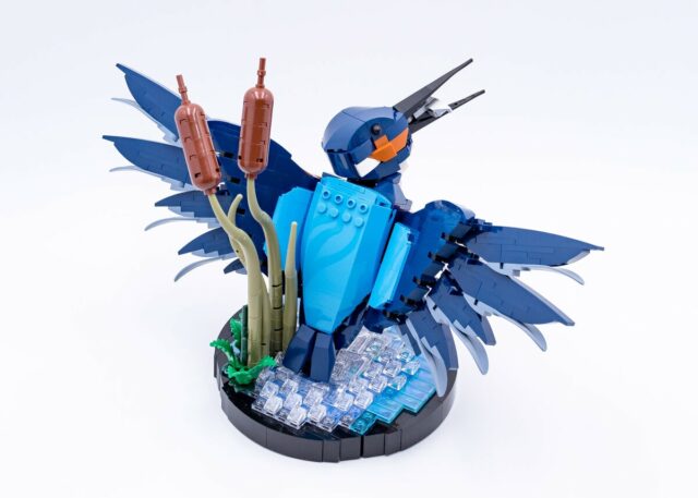 Review LEGO Icons 10331 Kingfisher Bird