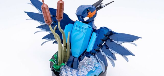 Review LEGO Icons 10331 Kingfisher Bird