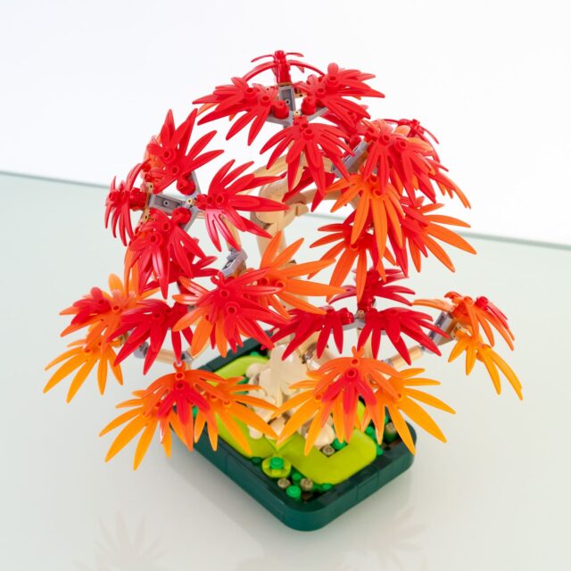 Review LEGO Botanicals 10348 Japanese Maple Tree
