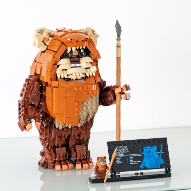 Review LEGO Star Wars 75430 Wicket the Ewok