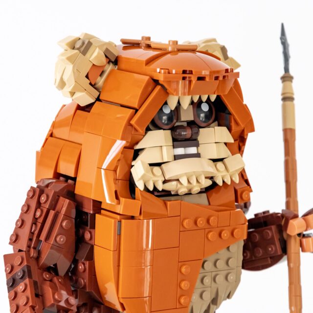 Review LEGO Star Wars 75430 Wicket the Ewok