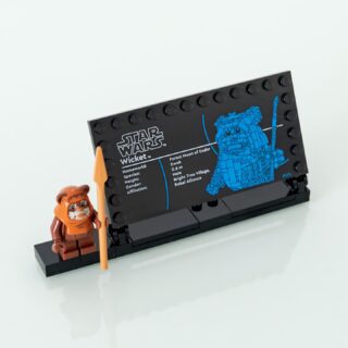 Review LEGO Star Wars 75430 Wicket the Ewok