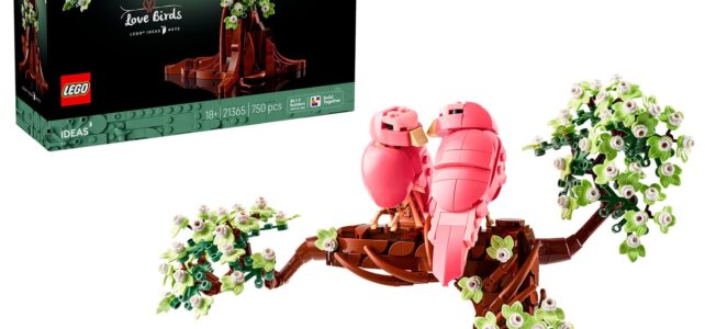 Nouveauté LEGO Ideas 21365 Love Birds Nouveauté LEGO Ideas 21365 Love Birds