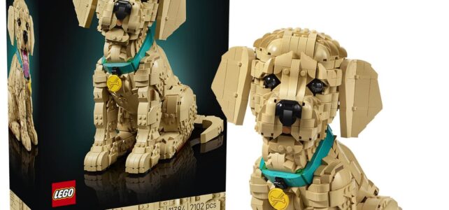 LEGO Icons 11384 Golden Retriever Puppy