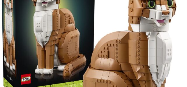 LEGO Ideas 21376 Orange Cat