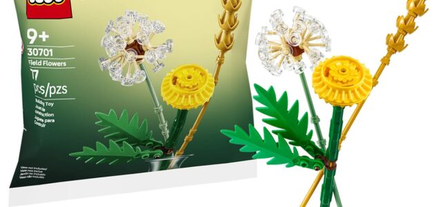 LEGO Botanicals 30701 Field Flowers