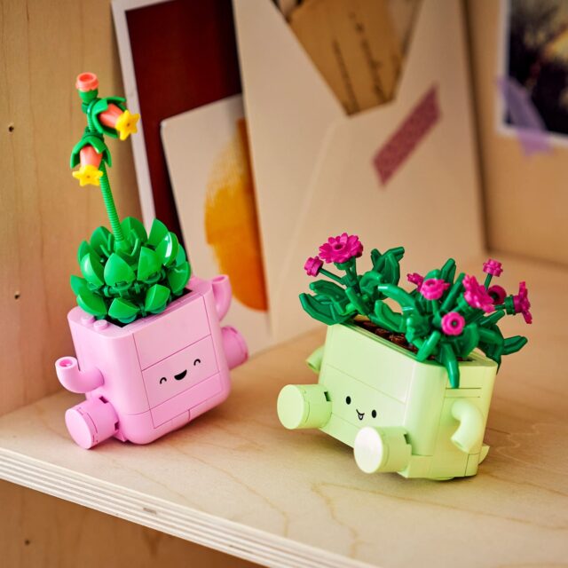 Nouveauté LEGO Botanicals 11506 Rocking Plants