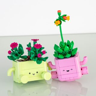 Review LEGO Botanicals 11506 Rocking Plants