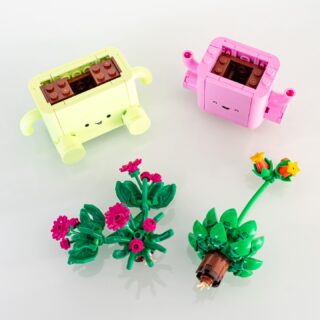 Review LEGO Botanicals 11506 Rocking Plants