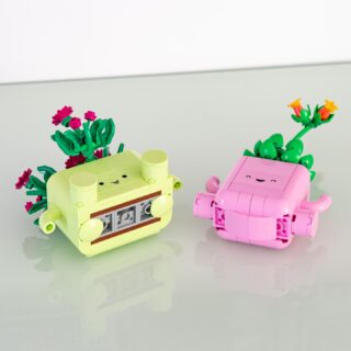 Review LEGO Botanicals 11506 Rocking Plants