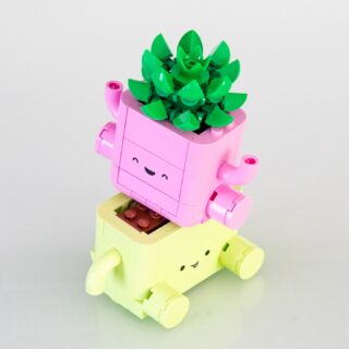 Review LEGO Botanicals 11506 Rocking Plants
