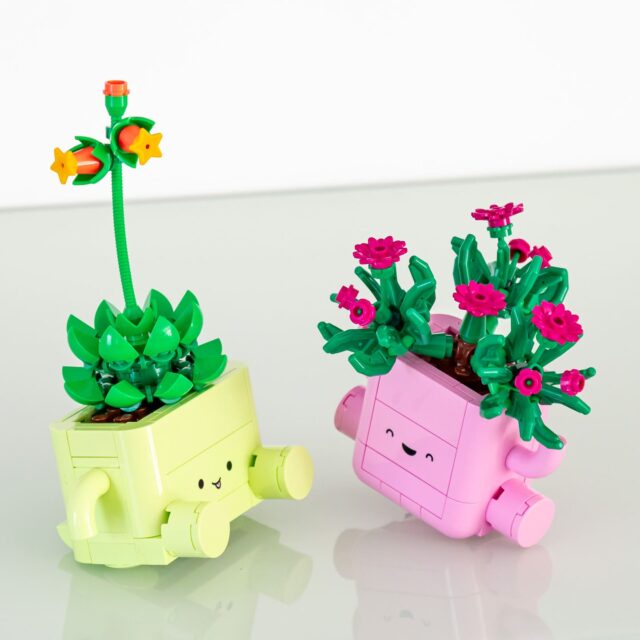 Review LEGO Botanicals 11506 Rocking Plants