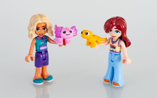 Review LEGO Friends 42687 Liann's Family House