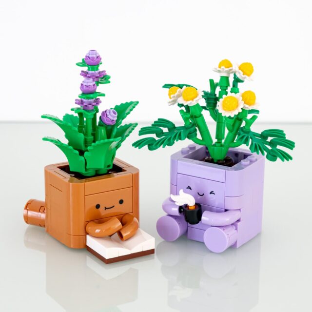 Review LEGO Botanicals 10371 Cosy Plants