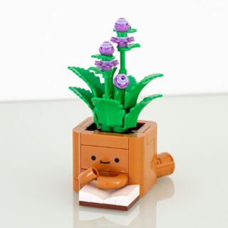 Review LEGO Botanicals 10371 Cosy Plants