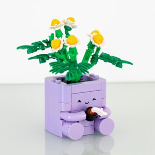 Review LEGO Botanicals 10371 Cosy Plants